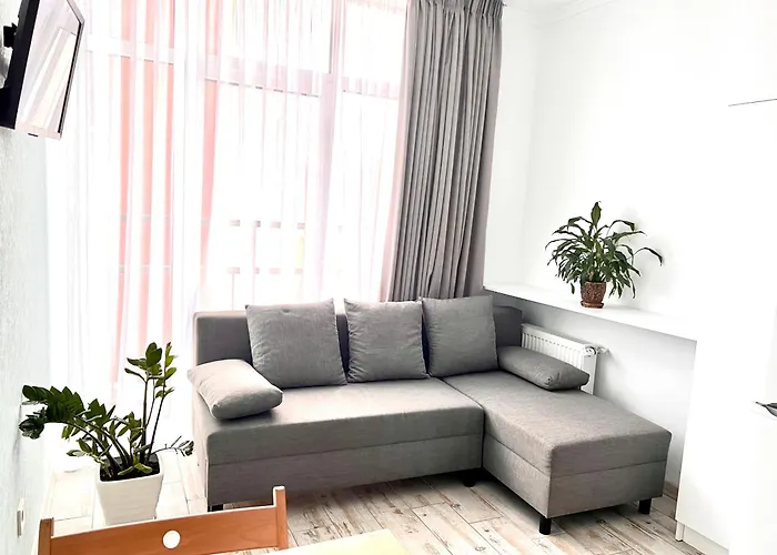 Osapart In A Complex Semycvit